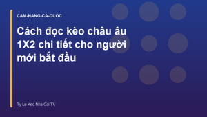 Read more about the article Cách đọc kèo châu âu 1X2 chi tiết cho người mới bắt đầu